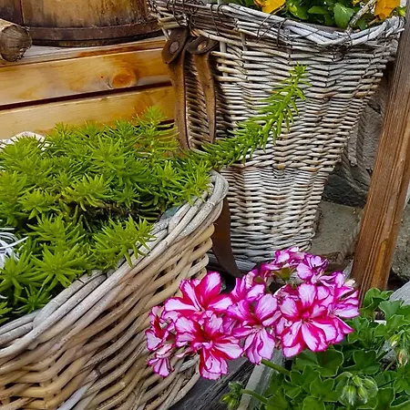 Lehnbach 아파트 사스-알마겔