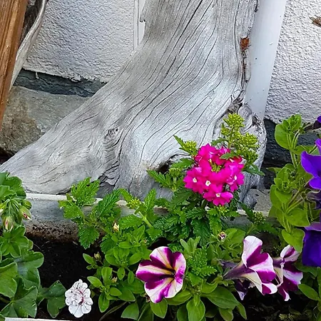 아파트 Lehnbach *