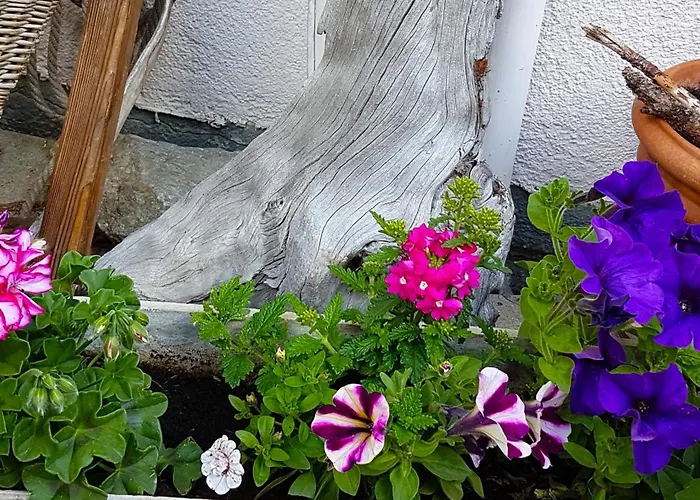 아파트 Lehnbach *